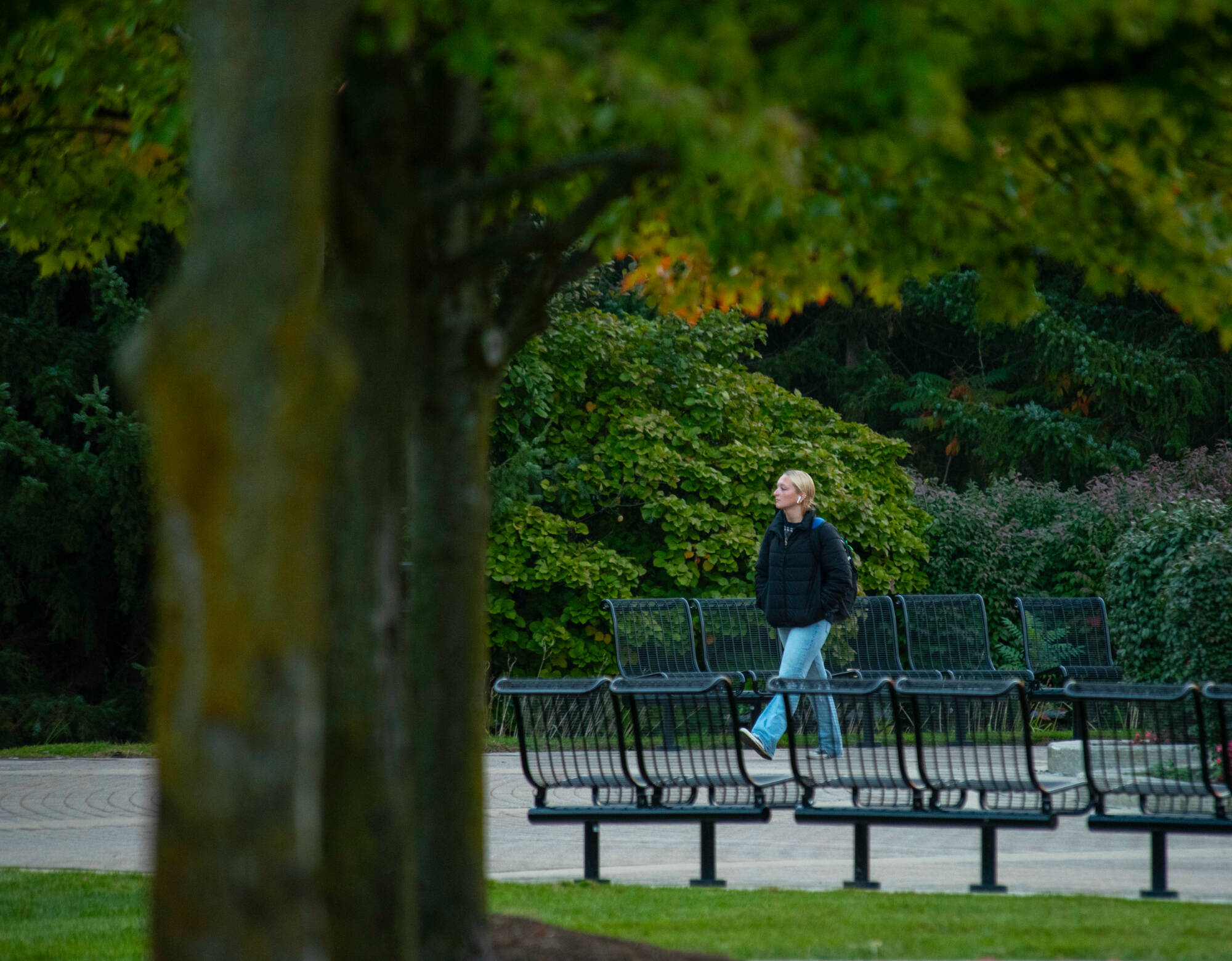 A student walks through campus on a chilly fall morning on October 14th.
